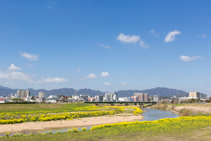 遠賀川河川敷の菜の花と飯塚市街地　福岡県飯塚市